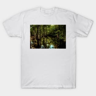 Swamp in Southeastern Georgia T-Shirt